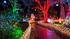 Χριστουγεννιάτικο θεματικό «Πάρκο των Χρωμάτων» - Υγειονομική κάλυψη από το Σώμα Εθελοντών Σαμαρειτών, Διασωστών και Ναυαγοσωστών Κατερίνης