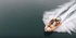 Πανευρωπαϊκό Πρωτάθλημα Ιστιοπλοΐας σκαφών Laser 4.7 Εφήβων/Νεανίδων-Παίδων/Κορασίδων - Κάλυψη Α βοηθειών, Διασωστική και Ναυαγοσωστική κάλυψη από το Σώμα Εθελοντών Σαμαρειτών Διασωστών & Ναυαγοσωστών Πατρών