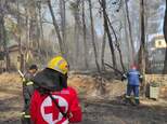 Κλιμάκιο εθελοντών του Ε.Ε.Σ. στην πρώτη γραμμή της μάχης με τις φλόγες στη Σταμάτα Αττικής