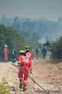 Συμμετοχή στις προσπάθειες κατάσβεσης δασικής πυρκαγιάς - Σώμα Εθελοντών Σαμαρειτών, Διασωστών και Ναυαγοσωστών  Πατρών