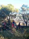 Συνδρομή του Σώματος Εθελοντών Σαμαρειτών, Διασωστών και Ναυαγοσωστών Πειραιά σε κατάσβεση πυρκαγιάς στην περιοχή Αγίου Αντωνίου Σαλαμίνας